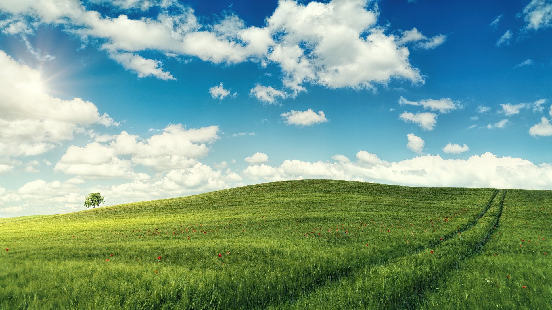 Windows XP